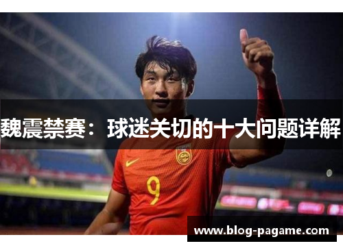 魏震禁赛:球迷关切的十大问题详解