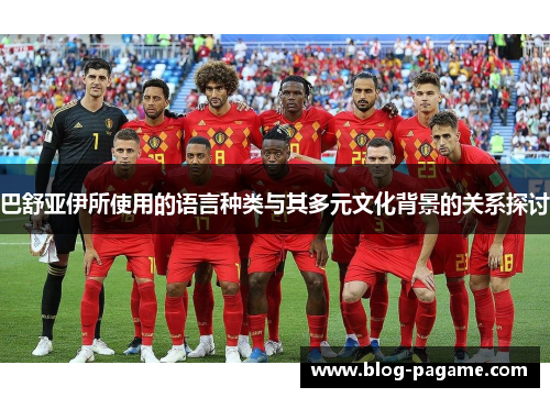 巴舒亚伊所使用的语言种类与其多元文化背景的关系探讨